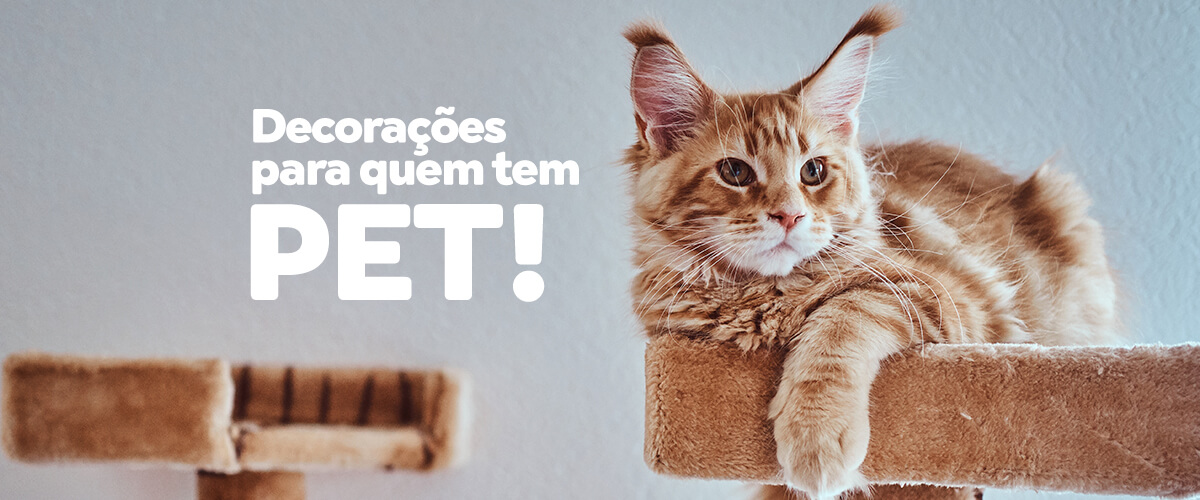 Read more about the article Decorações para lar com PET!